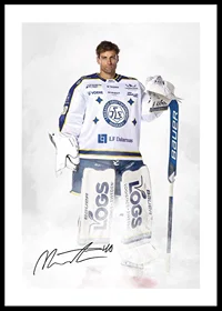 Mantas Armalis #40 Leksands IF 2024/2024-0