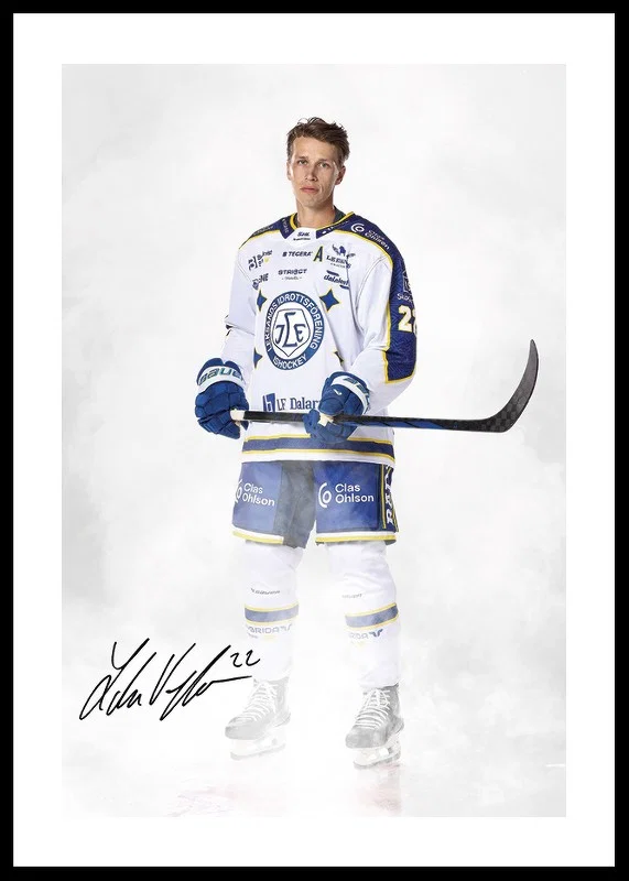 Lukas Vejdemo #22 Leksands IF 2024/2024-12