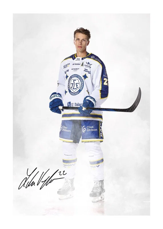 Lukas Vejdemo #22 Leksands IF 2024/2024-12