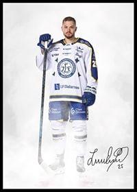 Lucas Elvenes #25 Leksands IF 2024/2024-2