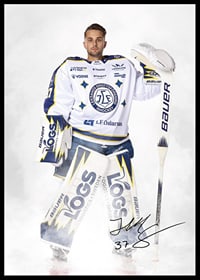 Jakob Hellsten #37 Leksands IF 2024/2024-2