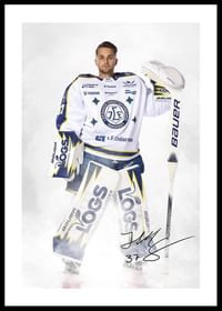Jakob Hellsten #37 Leksands IF 2024/2024-0