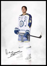 Hannes Hellberg #36 Leksands IF 2024/2024-2