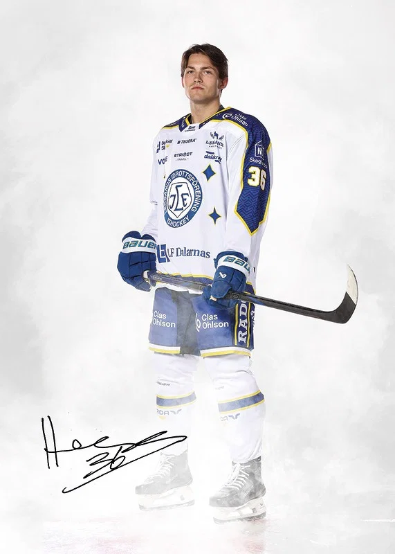 Hannes Hellberg #36 Leksands IF 2024/2024-12