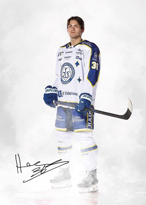 Hannes Hellberg #36 Leksands IF 2024/2024-12
