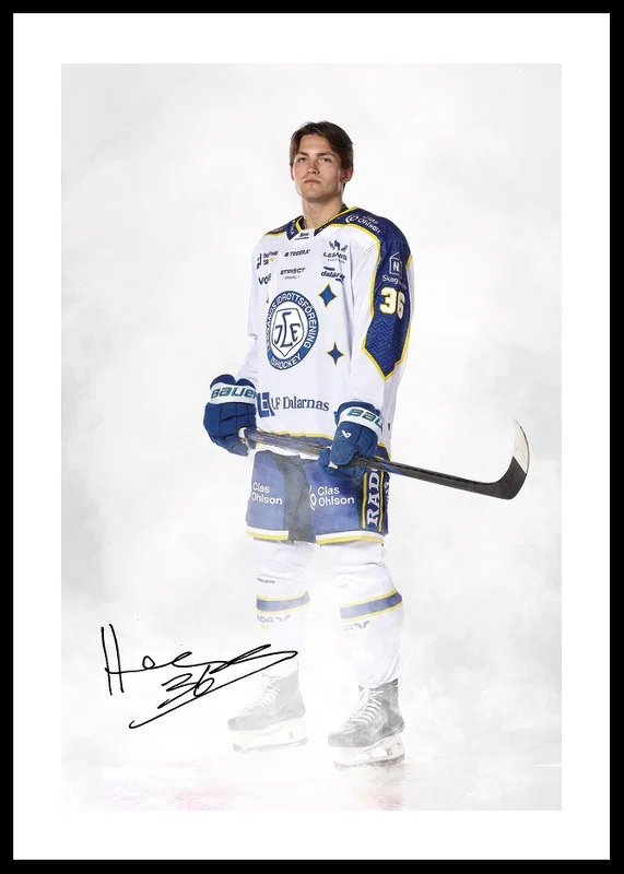 Hannes Hellberg #36 Leksands IF 2024/2024-12