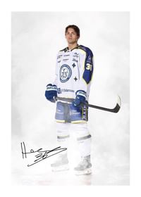 Hannes Hellberg #36 Leksands IF 2024/2024-1