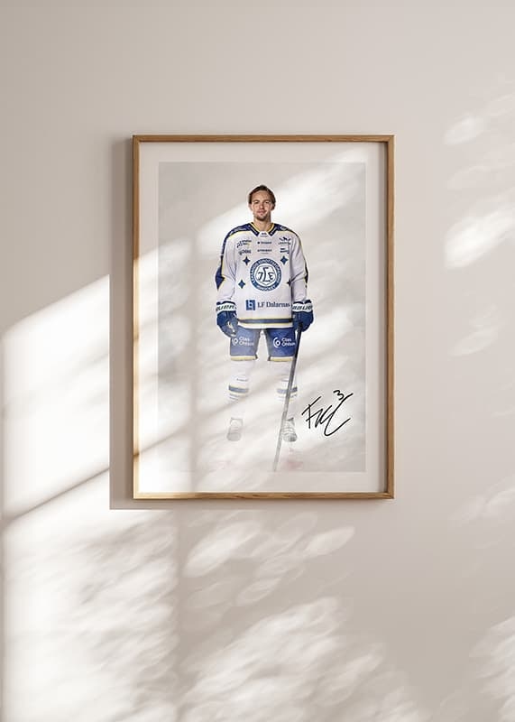 Fred Nilsson #3 Leksands IF 2024/2024-12