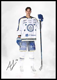Anton Johansson #10 Leksands IF 2024/2024-2
