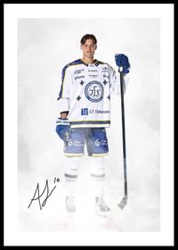Anton Johansson #10 Leksands IF 2024/2024-0