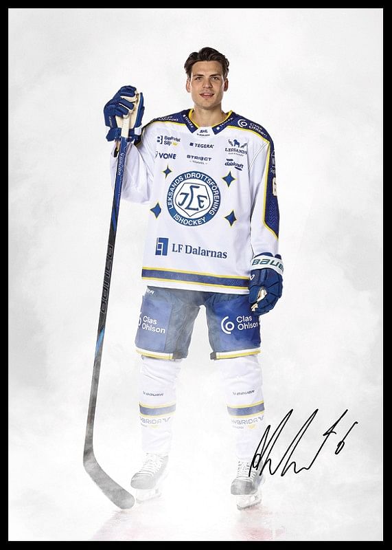 Alexander Lundqvist #6 Leksands IF 2024/2024-12