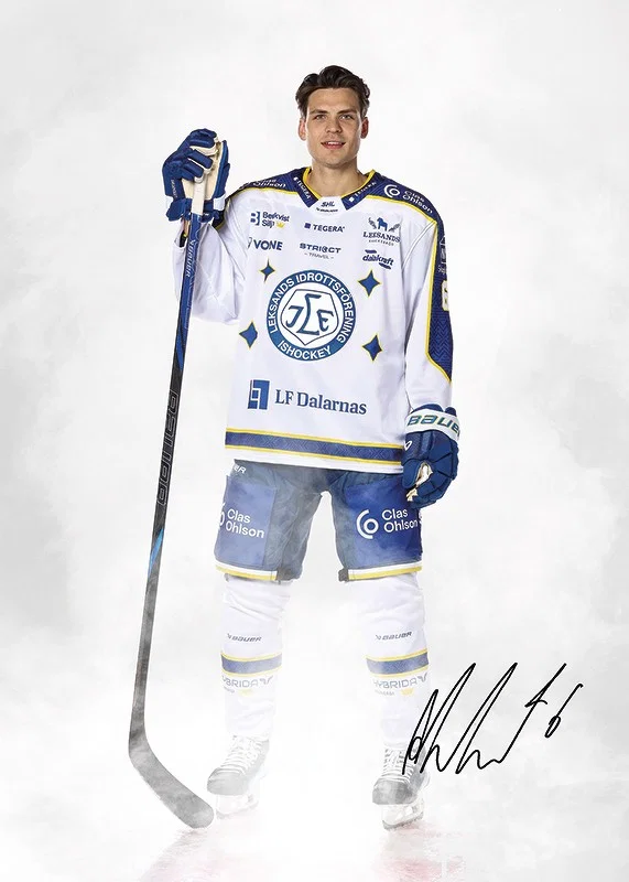 Alexander Lundqvist #6 Leksands IF 2024/2024-12