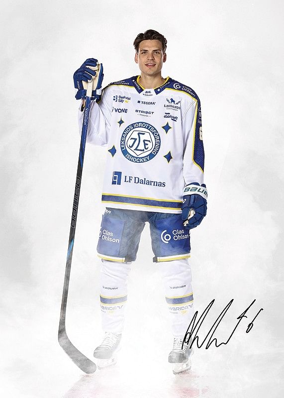 Alexander Lundqvist #6 Leksands IF 2024/2024-12