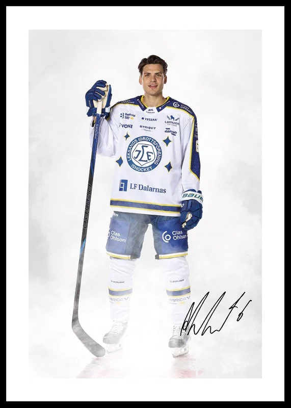 Alexander Lundqvist #6 Leksands IF 2024/2024-12