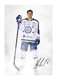 Alexander Lundqvist #6 Leksands IF 2024/2024-1