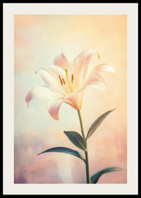 En poster med en vit lilja mot en mjuk pastellbakgrund som utstrålar harmoni och skönhet-2