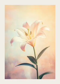 En poster med en vit lilja mot en mjuk pastellbakgrund som utstrålar harmoni och skönhet-3