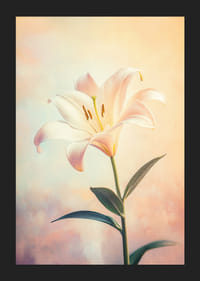 En poster med en vit lilja mot en mjuk pastellbakgrund som utstrålar harmoni och skönhet-5