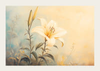 A poster with a blooming lily in soft golden light that radiates harmony -3