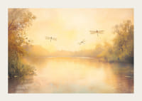 Ein Poster mit einem goldenen See, tanzenden Libellen und beruhigendem Morgenlicht-3
