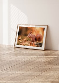 Poster with a picture of a squirrel in an autumn landscape-8