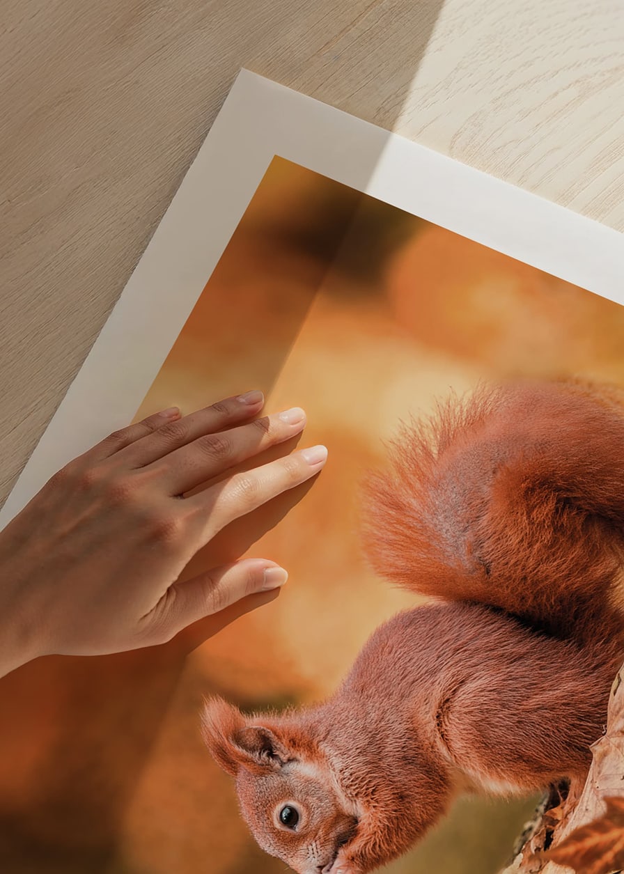 Poster with a picture of a squirrel in an autumn landscape-12