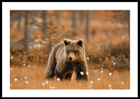 Poster with a picture of a bear in an autumn landscape-0