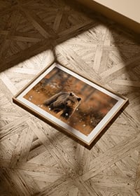 Poster with a picture of a bear in an autumn landscape-8