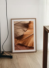 Plagát s detailným záberom jesenného lístia v rôznych vrstvách a odtieňoch-8
