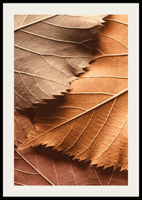 Poster with a close-up of autumn leaves in different layers and shades-2