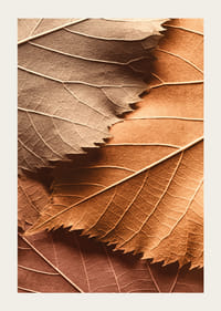 Poster with a close-up of autumn leaves in different layers and shades-3