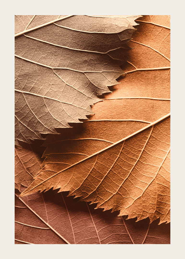 Poster with a close-up of autumn leaves in different layers and shades-12