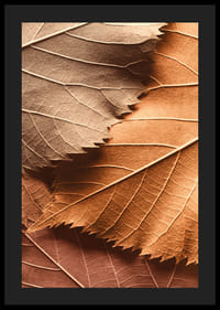 Poster with a close-up of autumn leaves in different layers and shades-4