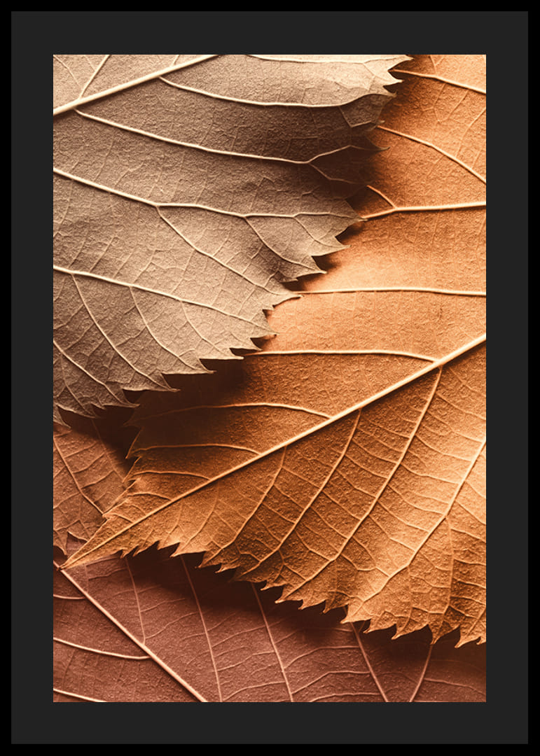Poster with a close-up of autumn leaves in different layers and shades-12
