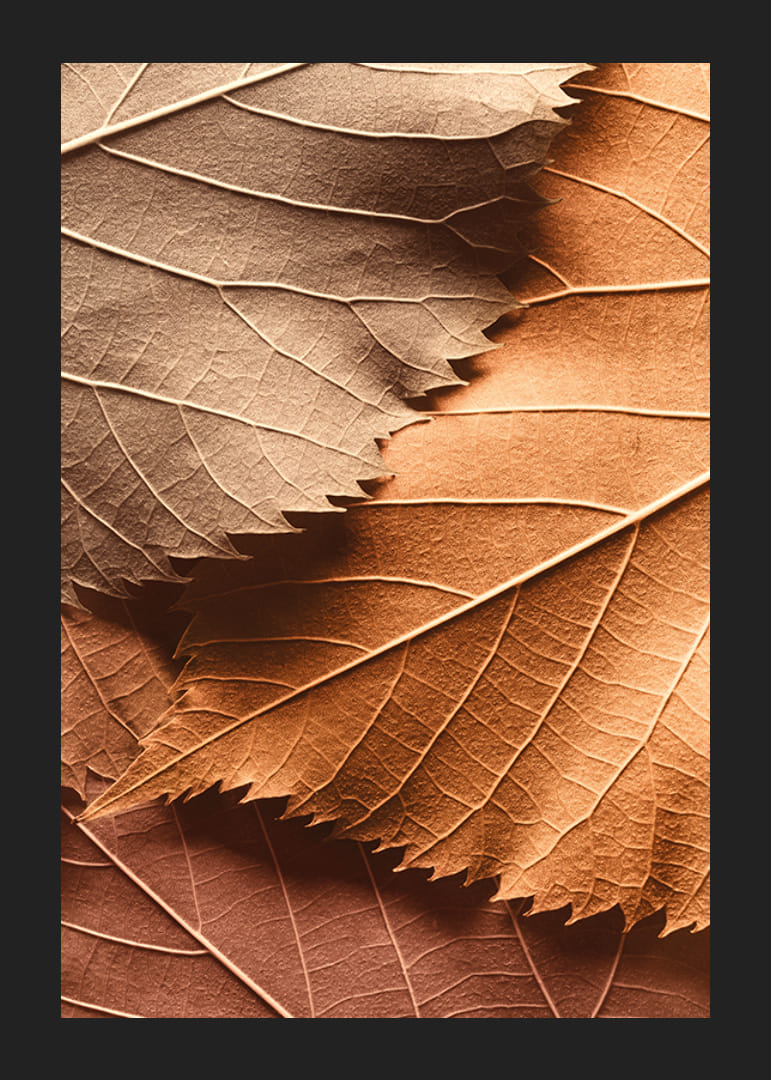 Poster with a close-up of autumn leaves in different layers and shades-12