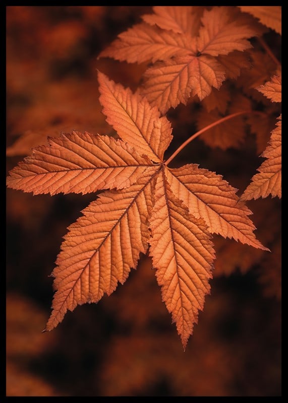 Poster with a close-up of a leaf in burnt autumn colors-12