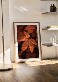 Poster with a close-up of a leaf in burnt autumn colors-8