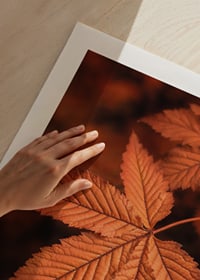 Poster with a close-up of a leaf in burnt autumn colors-9