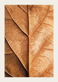 Plakat ze zbliżeniem złotego jesiennego liścia -3