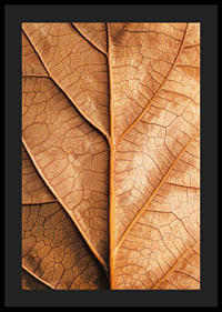 Poster with a close-up of a golden autumn leaf -4
