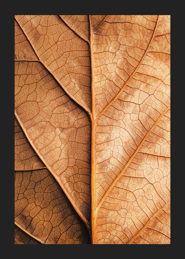 Poster with a close-up of a golden autumn leaf -12