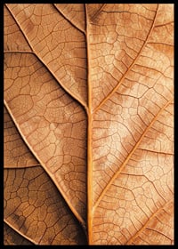 Poster with a close-up of a golden autumn leaf -6