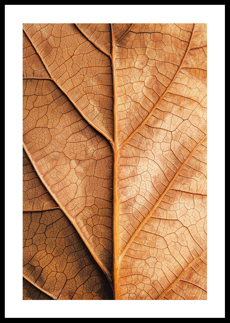 Poster with a close-up of a golden autumn leaf -12
