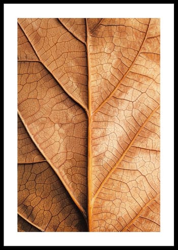 Poster Autumn Leaf Golden Veins