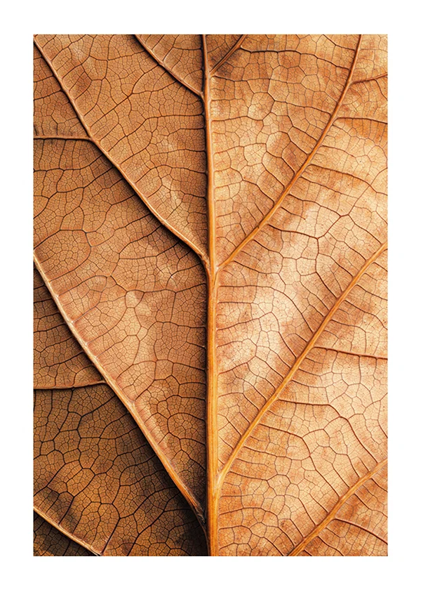 Poster Autumn Leaf Golden Veins
