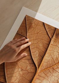 Poster with a close-up of a golden autumn leaf -9