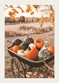 Poster med en bild på en kärra med pumpor i olika färger-3