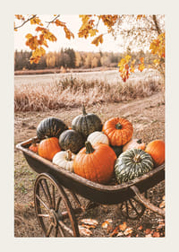 Poster with a picture of a cart with pumpkins in different colors-3