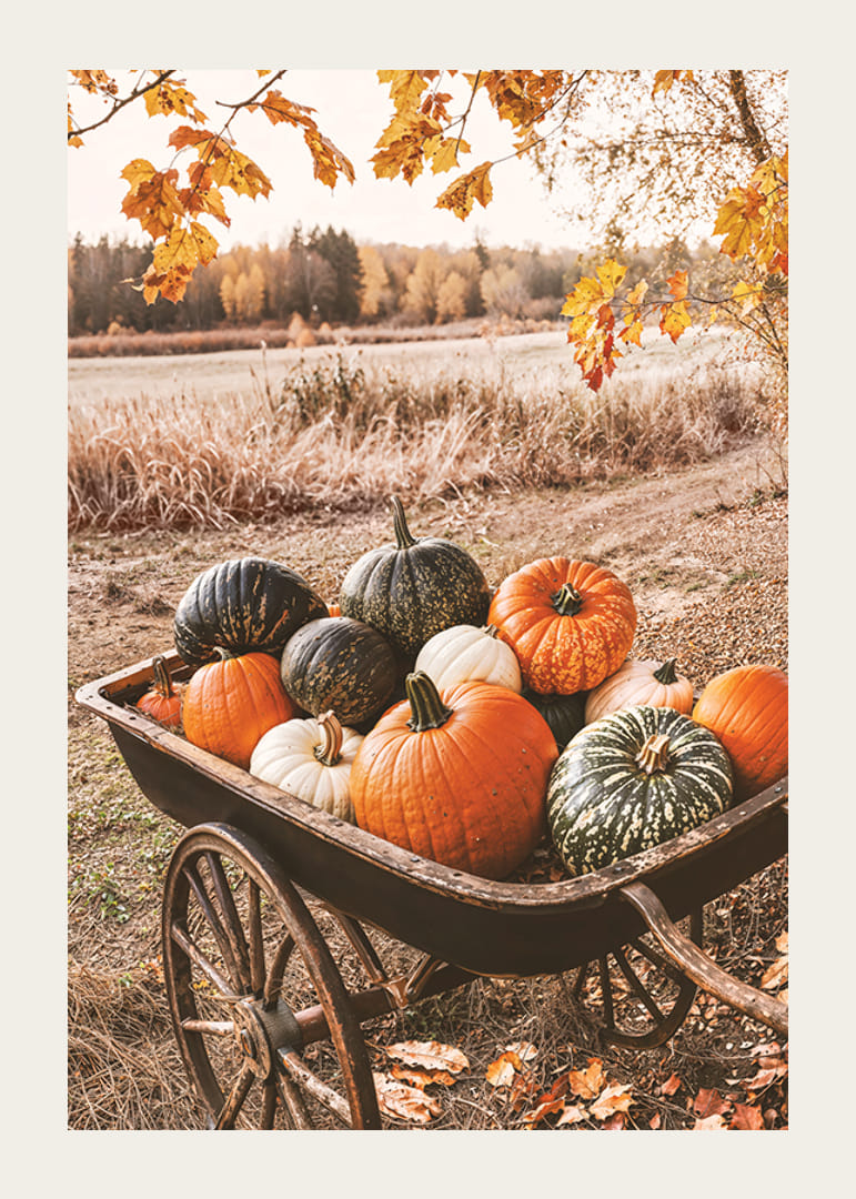Poster with a picture of a cart with pumpkins in different colors-12