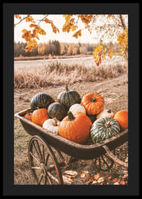 Poster with a picture of a cart with pumpkins in different colors-4